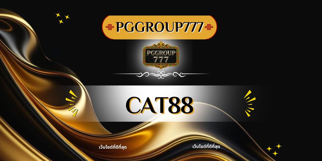 cat888
